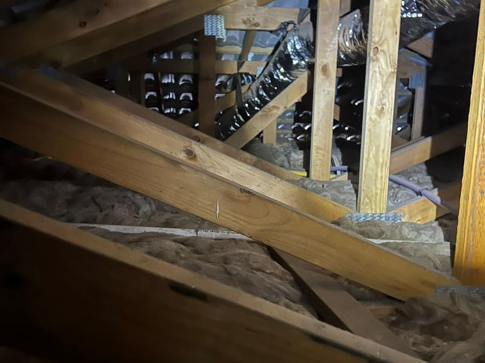 Building and Pest Inspections in Tarneit