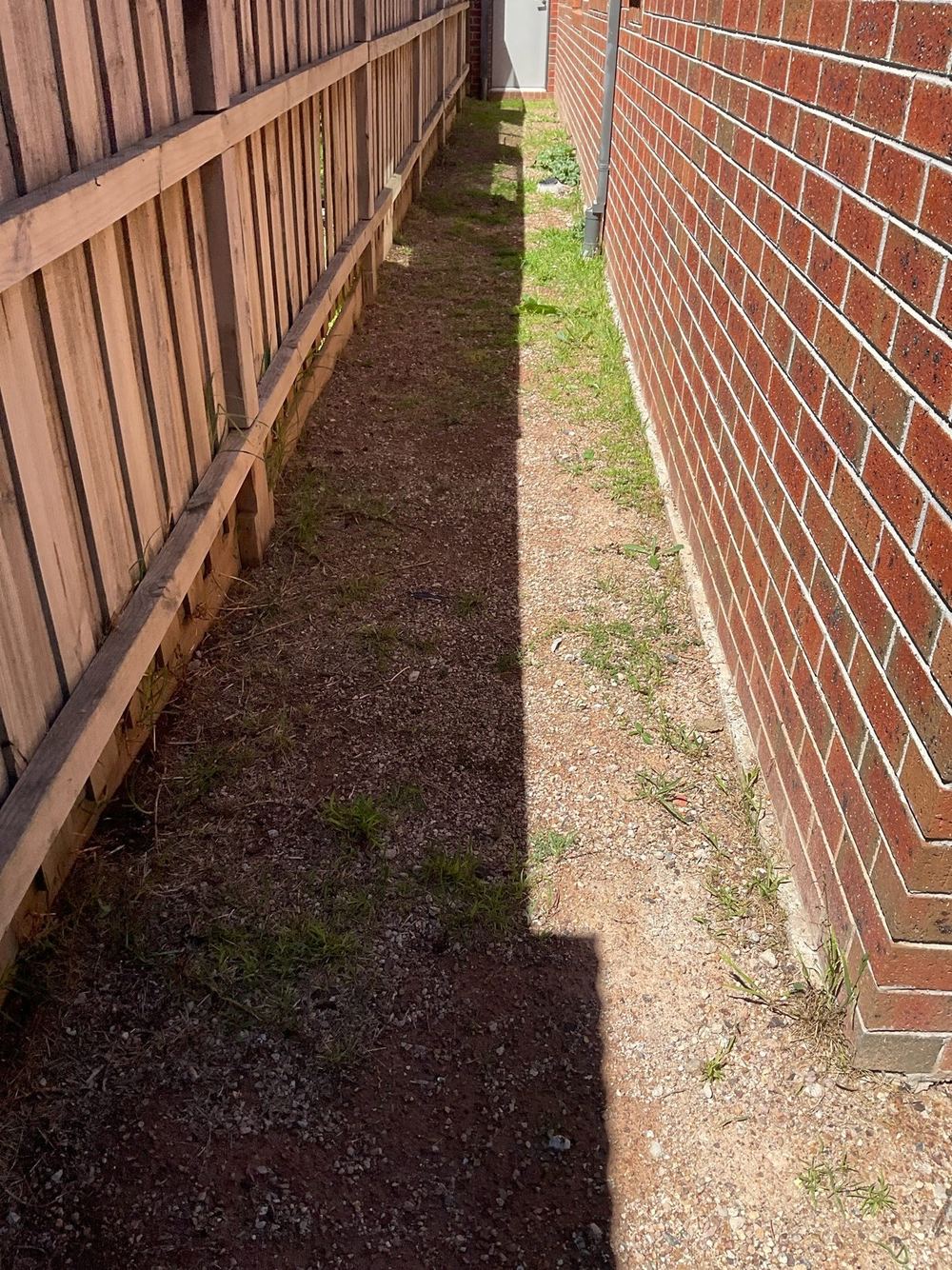 Conditions around the property that invite termites in, found during a building and pest inspection in Point Cook